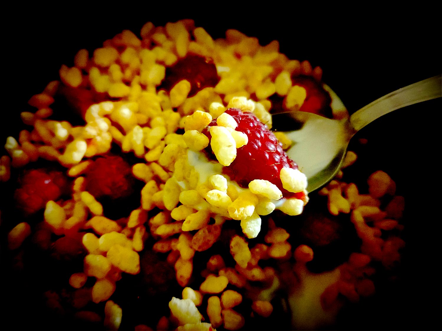 Le fromage blanc légèrement acidulé offre un beau contraste, et permet de lier le riz soufflé aux framboises pour proposer de belles bouchées plus complexes que ce que les ingrédients pourraient laisser penser.